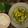 ざりがにサラダ's cooksnap of when they made 甘くておいしい☆ピーマンの卵炒め.