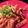 ネビルあゆみ's cooksnap of when they made 春の旬♡みずみずしいアスパラ肉巻きカツ.