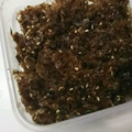 あさここなっつ's cooksnap of when they made しっとり甘辛～鰹ふりかけ.