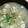 taekkomama's cooksnap of when they made 蓮根とお豆腐＊ぽかぽかスープ.