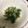 そうたん♡こうたん's cooksnap of when they made ほうれん草のツナ和え☆.