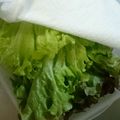 いちご＆大福's cooksnap of when they made シャッキと蘇る☆サニーレタスの保存の仕方.