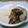 Galah's cooksnap of when they made お茶丸さんちの簡単煮物.