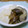 Galah's cooksnap of when they made お茶丸さんちの簡単煮物.