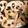 milletury's cooksnap of when they made レンコンのオレガノ塩麴炒め.