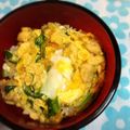 monchan♪♪'s cooksnap of when they made フライパンで！簡単１度に４人分親子丼！.