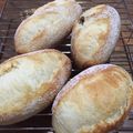 子豚姫のママ's cooksnap of when they made ホシノ丹沢酵母で♫ふわふわレ・パン.