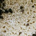 ソプラノさん's cooksnap of when they made 玄米ご飯.