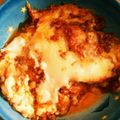 りぃり＆しゅんしゅん's cooksnap of when they made 簡単 ティファールで 餃子の皮 ラザニア.