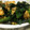 tutocook's cooksnap of when they made ほうれん草とふわふわ卵の中華風炒め.