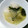 クック8YQSKM☆'s cooksnap of when they made 簡単！大根と白菜 鶏むね肉のナンプラー煮.