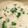 ダッフィくん's cooksnap of when they made 鶏とホタテのほっこり中華粥.