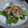 いくえちゃん！'s cooksnap of when they made 絹さやのおひたし・柚子胡椒風味.