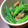 有希-yuki-'s cooksnap of when they made いんげんのツナ煮和え.