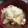 zrose's cooksnap of when they made 我が家の簡単特製みぞれ鍋.