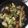 クックXVS7EI☆'s cooksnap of when they made おいしくて簡単な→回鍋肉風炒め.