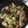 クックXVS7EI☆'s cooksnap of when they made おいしくて簡単な→回鍋肉風炒め.