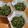i_yokan's cooksnap of when they made 簡単おかず★和食編★ほうれん草の胡麻和え.