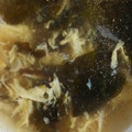 クックOYTSP1☆'s cooksnap of when they made 簡単☆ワカメの中華風スープ.