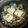 KａKａ's cooksnap of when they made 簡単！フライパンで豆腐 すき焼.