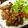 ☆こまっと☆'s cooksnap of when they made ◆簡単3ステップで唐揚げ◆.
