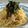ゆうかりコアラ's cooksnap of when they made ○玉ねぎとツナの和風パスタ○.