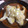 ツナ缶's cooksnap of when they made フライパンと白だしde鱈の京風みぞれ焼き.