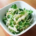 ロビタ000's cooksnap of when they made 切り干し大根とかいわれナムル【作りおき】.
