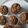 おしひと's cooksnap of when they made バレンタインにも！簡単チョコカップケーキ.