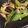 クックQ3TZ86☆'s cooksnap of when they made 体を温めて風邪を治す青ネギ炒め.