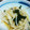 クックYIMPJ1☆'s cooksnap of when they made ＊レンジで簡単♪もやし達のクタクタ煮＊.