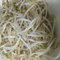 OlivierRyo's cooksnap of when they made もやしの茹で方（覚書）.