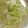 どくろパンダ☆'s cooksnap of when they made 白菜と卵のぽかぽか中華スープ.