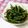 お芋とトマト's cooksnap of when they made ♡いんげんのごまあえ♡~動画あり~.