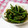 お芋とトマト's cooksnap of when they made ♡いんげんのごまあえ♡~動画あり~.