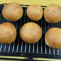 こぶた０４'s cooksnap of when they made 全粒粉 ふわふわ丸パン.