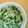 シナモシナモ's cooksnap of when they made 完了期☆鮭とほうれん草のクリームうどん.