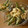 BiwacoJune's cooksnap of when they made ししとうの柚子マヨ和え.