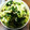 クックS85M5R☆'s cooksnap of when they made 簡単☆お漬物／浅漬け.