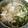 ｺｱﾗ's cooksnap of when they made タラと白菜の寄せ鍋.