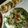 みうさんjp0318's cooksnap of when they made かいわれとじゃこサラダ.