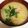アプリコット♡'s cooksnap of when they made 我が家のお雑煮。（鶏肉入り）.
