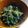 クックQPEV8V☆'s cooksnap of when they made ほうれん草のタラコマヨサラダ.