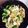 クックQPEV8V☆'s cooksnap of when they made ツナとピーマンの甘辛炒め.