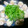 苺豚♪'s cooksnap of when they made ハマグリときのこの酒蒸し.
