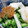 あすでふ's cooksnap of when they made 長いもとオクラのなめたけ和え.