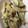 as-mama's cooksnap of when they made ごぼうとさつまいものみそマヨネーズあえ.