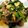 ruchi04's cooksnap of when they made 小松菜のオイスターソース炒め.