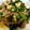 ruchi04's cooksnap of when they made 小松菜のオイスターソース炒め.