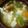 大森ヨーグルト's cooksnap of when they made 豆入り★白菜のポトフ.